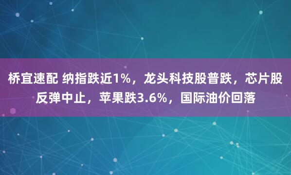 桥宜速配 纳指跌近1%，龙头科技股普跌，芯片股反弹中止，苹果跌3.6%，国际油价回落