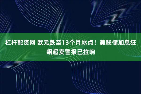 杠杆配资网 欧元跌至13个月冰点！美联储加息狂飙超卖警报已拉响