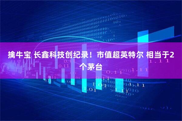 擒牛宝 长鑫科技创纪录！市值超英特尔 相当于2个茅台