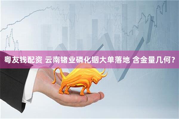 粤友钱配资 云南锗业磷化铟大单落地 含金量几何？