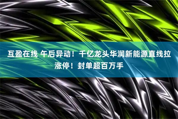 互盈在线 午后异动！千亿龙头华润新能源直线拉涨停！封单超百万手