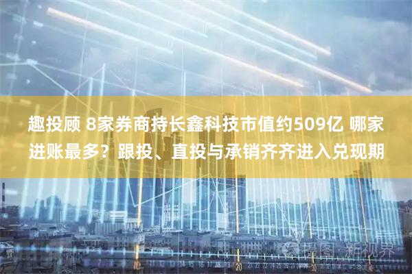 趣投顾 8家券商持长鑫科技市值约509亿 哪家进账最多？跟投、直投与承销齐齐进入兑现期